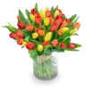 Kytice  tulipánů